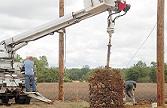 planting poles